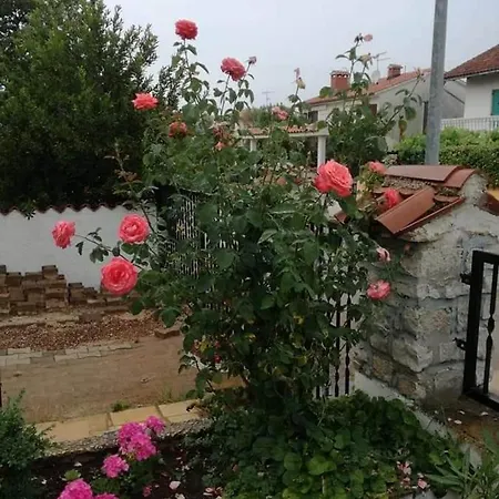 Jug * Porec